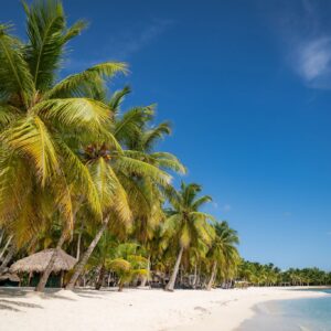 Dominican-Republic-Punta-Cana-Beach-Saona-Island-id18136-Dec-16-2024
