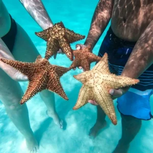 isla-saona-piscina-natural